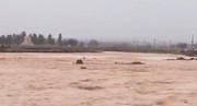 بارش در رود دره فرحزاد پر خطر است/ از تردد در فرحزاد خودداری شود