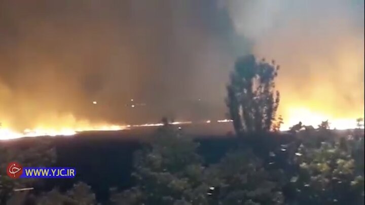 آتش سوزی در محوطه بوستان ولایت نیست