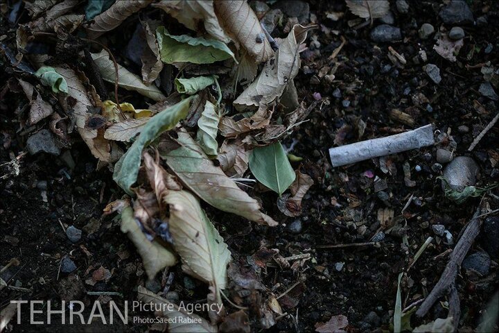 فیلتر سیگار زباله است
