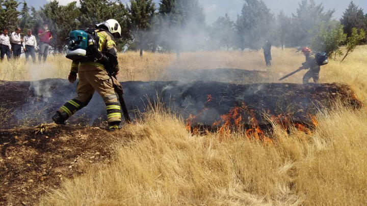 ۴۲ هزار هکتار جنگلکاری و کمربند سبز در خطر آتش سوزی قرار دارد