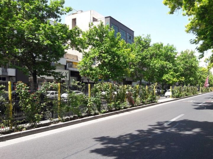 توسعه فضای سبز عمودی در منطقه سه تهران