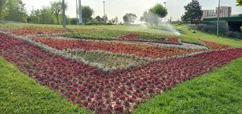 ۵ هزارمترمربع فرش گل در بدنه بزرگراه های منطقه۲ گسترده شد