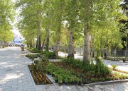 اجرای پروژه های توسعه محله ای در مرکز شهر تهران در حال انجام است