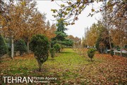 ایجاد ۸۸ بوستان و تملک ۱۸ باغ در شهر تهران