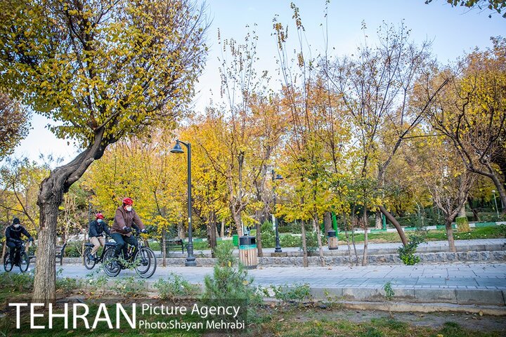 آماده سازی بوستان لاله برای ورزش شبانه روزی شهروندان