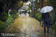 تهران آمادگی مواجهه با هر میزان بارندگی را دارد/ هیچ نقطه ای از تهران دچار آبگرفتگی نشده است