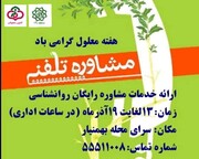 توسعه ارایه خدمات حمایتی به معلولان جنوب شهر