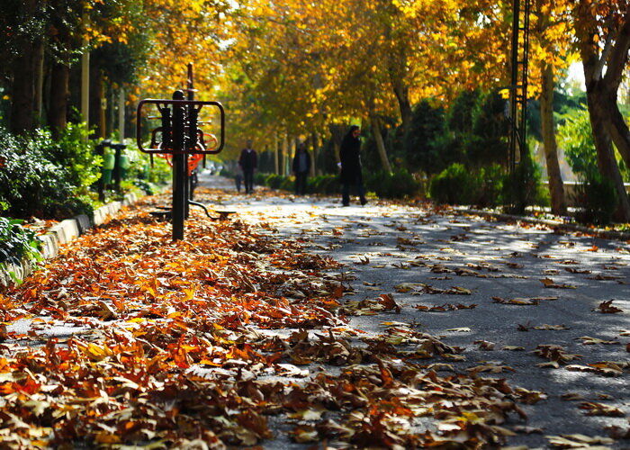 نوای پائیز در محله های مرکزی شهر تهران 