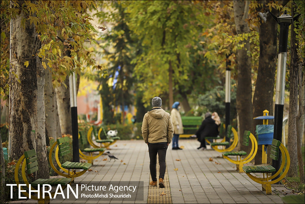 بوستان شهید منفرد نیاکی(اندیشه)