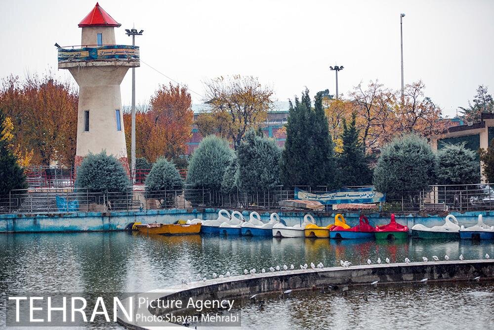 پاییز بوستان المهدی(عج)