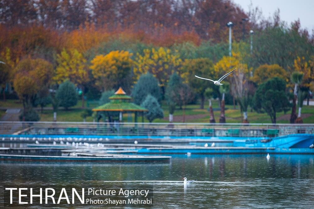 پاییز بوستان المهدی(عج)