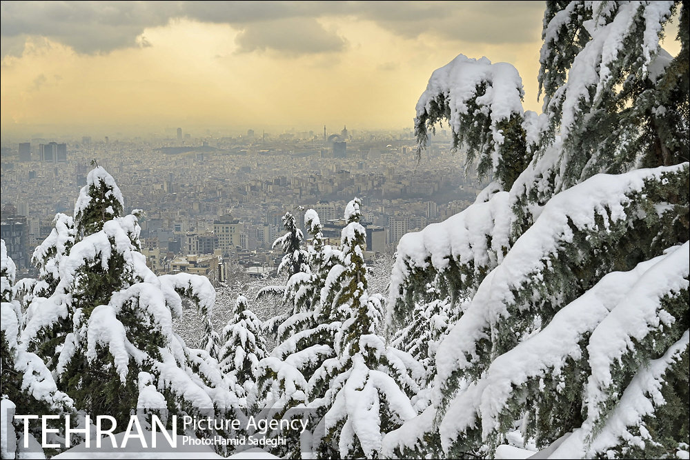 طبیعت برفی شمال تهران