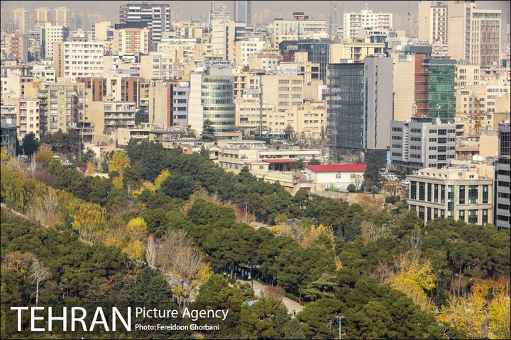تهران،نماینده ایران در مجامع بین المللی است