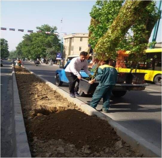 توزیع نهال رایگان در بین شهروندان شمال تهران آغاز شد