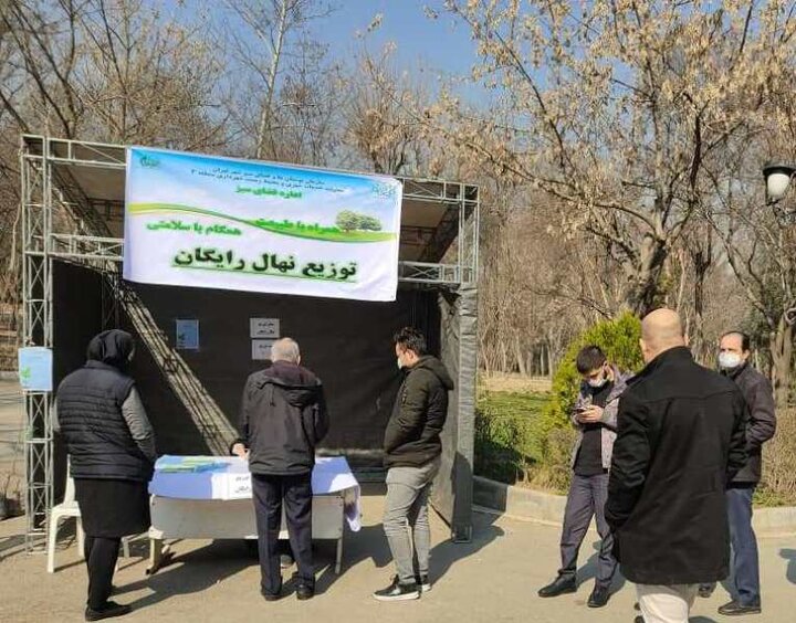 توزیع  ۱۰ هزار اصله نهال رایگان 