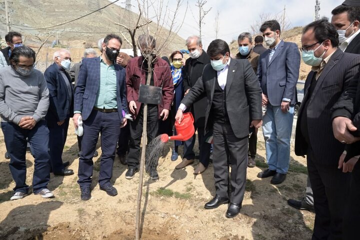  آیین درختکاری پایتخت با اهالی فرهنگ و ادب