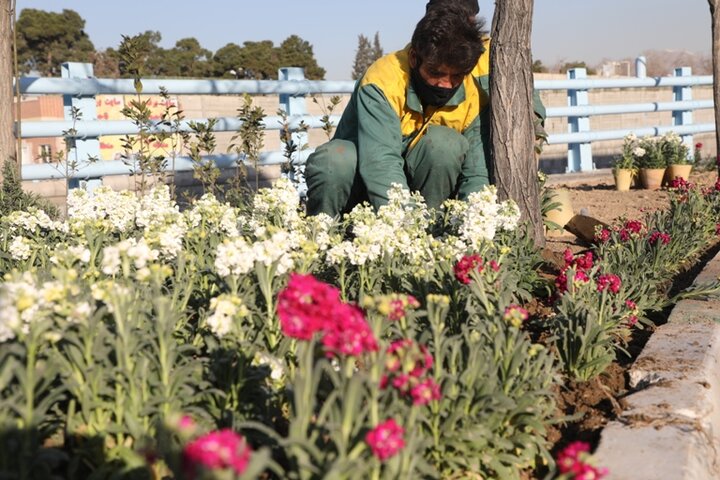 رنگ و بوی بهار در محلات
