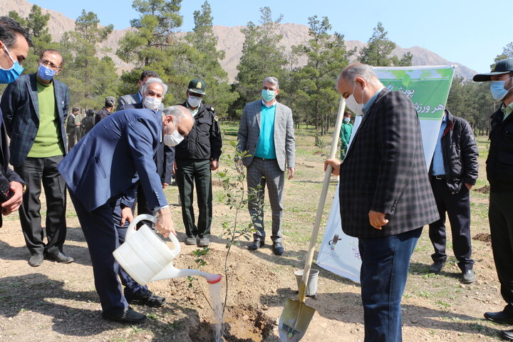 آئین غرس نهال در بیمارستان روانپزشکی رازی برگزار شد