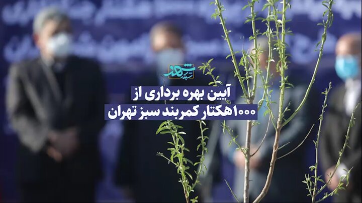یک‌هزار هکتار از کمربند سبز تهران به بهره‌برداری رسید