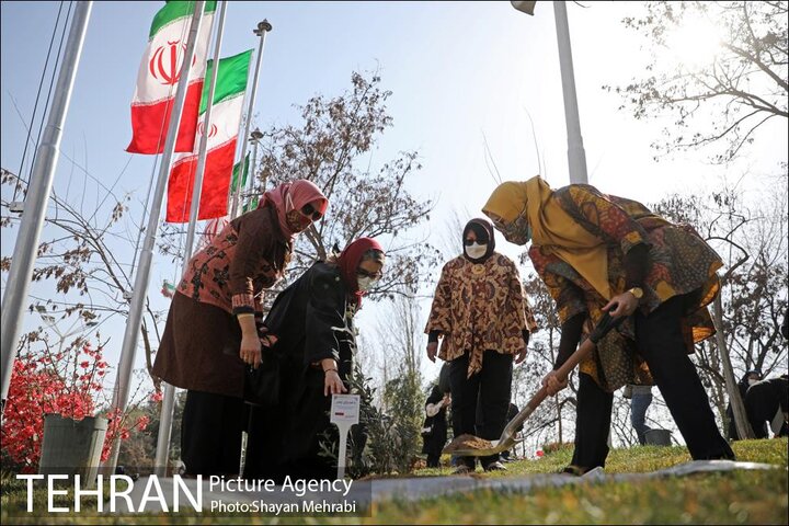 درختکاری همسران دیپلمات‌های خارجی مقیم در ایران
