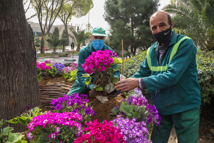 بیش از ۲ هزار متر مربع گل کاری درمنطقه ۱۷ 