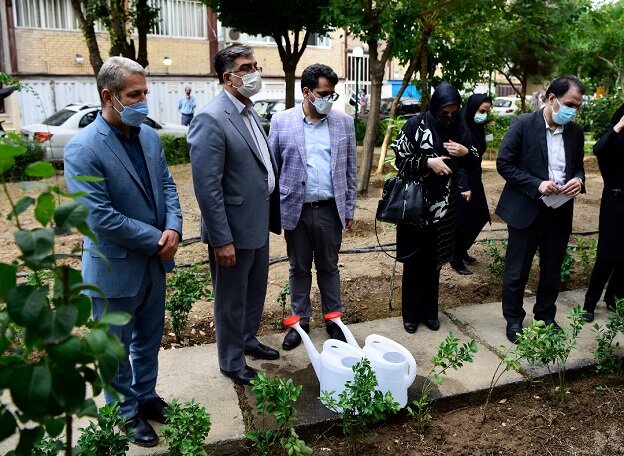  نخستین باغچه مشارکتی تهران در محله تاکسیرانی افتتاح شد 