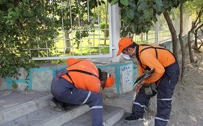 شناسایی و امحاء کلونی های جانوران موذی در شمال شرق تهران