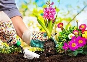 طرح مشارکتی زیباسازی و بهسازی محیطی محله بهبودی آغاز شد