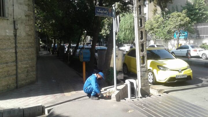 طعمه گذاری کلونی های فعال جانوران موذی در دروس