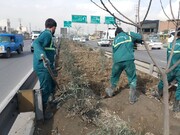 اجرای عملیات به زراعی فضای سبز جنوب‌شرق تهران