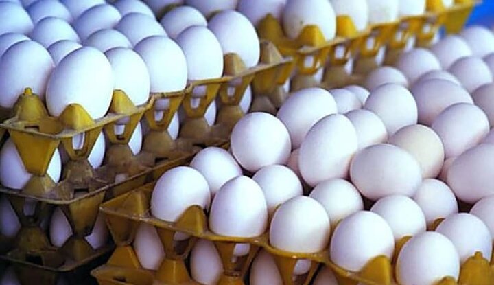 کاهش ۲ هزار تومانی قیمت هر شانه تخم‌مرغ در میادین تره‌بار