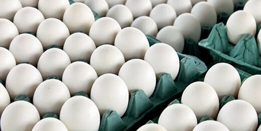 کاهش مجدد قیمت تخم‌مرغ تتظیم بازار در میادین تره‌بار
