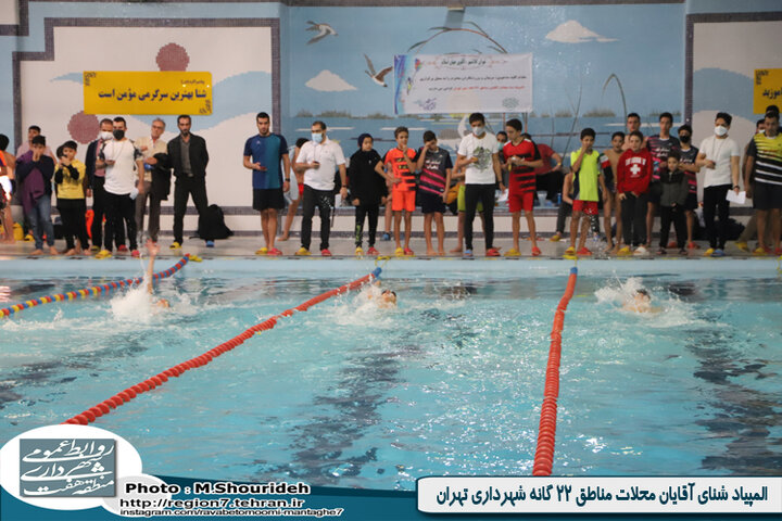 برگزاری المپیاد شنای آقایان محلات تهران به میزبانی منطقه ۷