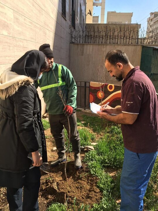 باغچه منازل شهروندان منطقه ۹ سبز می‌شود