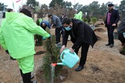 کاشت ۴۳ درخت به مناسبت ۴۳ سالگی انقلاب اسلامی در بهشت زهرا(س)