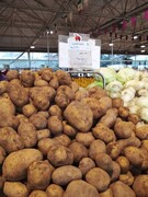 روزانه ۱۷۰ تا ۱۸۰ تن سیب زمینی در میادین و بازارهای میوه و تره‌بار توزیع می‌شود