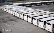 تهران به ۵۰۰۰ اتوبوس نیاز دارد
