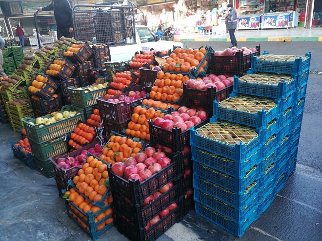 باغداران شمال «کیوی» و «پرتقال» را در میادین پایتخت به‌طور مستقیم عرضه کنند