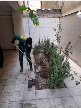 اجرای طرح کاشت نهال در منازل شهروندان منطقه ۲۰