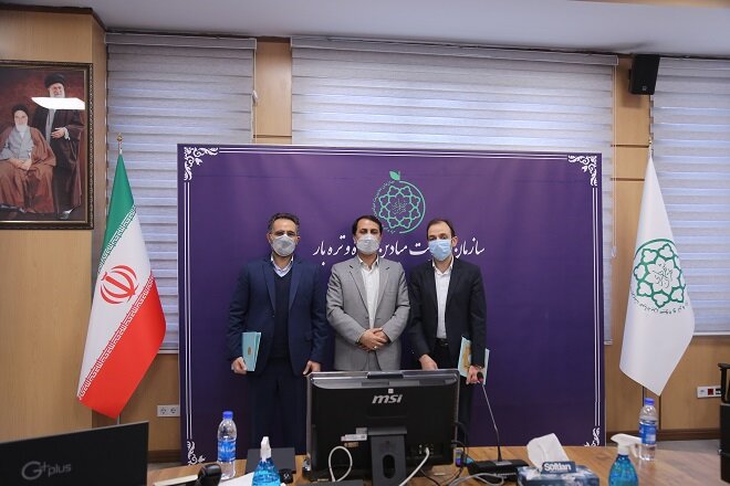 فعالیت ۲۶۰ بازار میوه و تره‌بار در پایتخت/تاثیر قابل‌توجه اقدامات سازمان میادین بر کل کشور