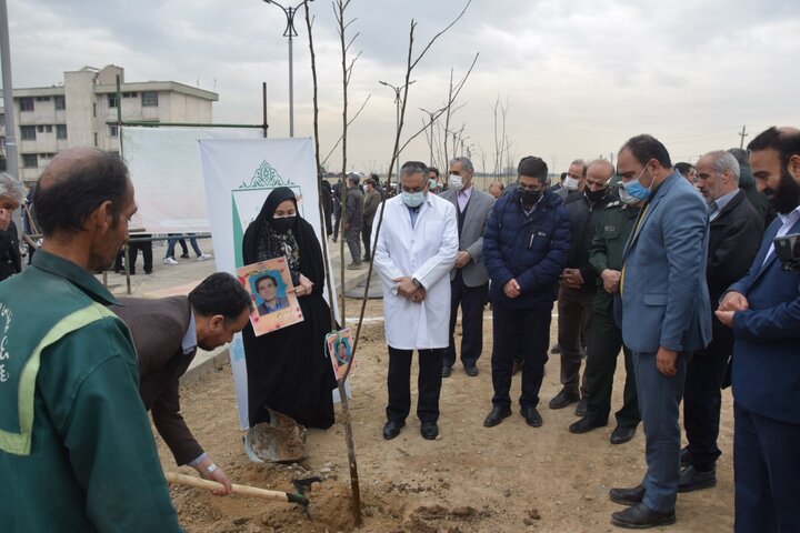 همکاری شهرداری تهران و سپاه برای احداث بوستان جنگلی پاسدار