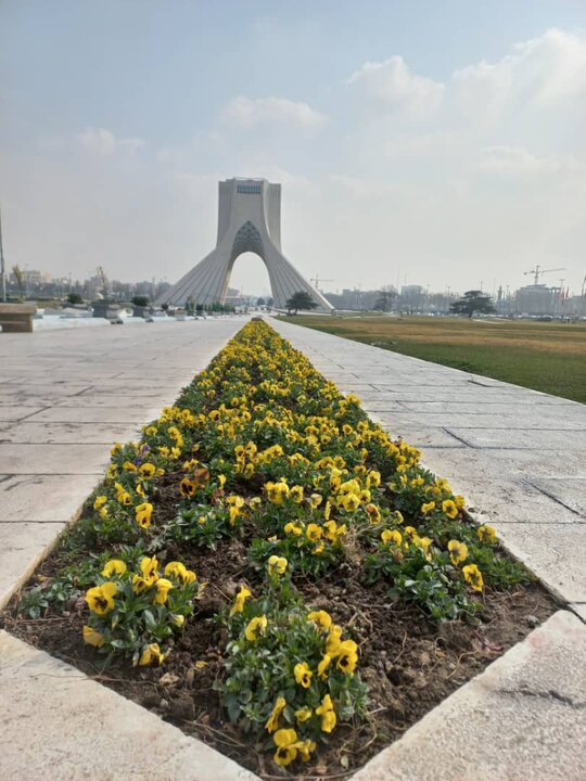نمایش جلوه‌ای از زیبایی نوروز با فرش‌های گل در منطقه ۹