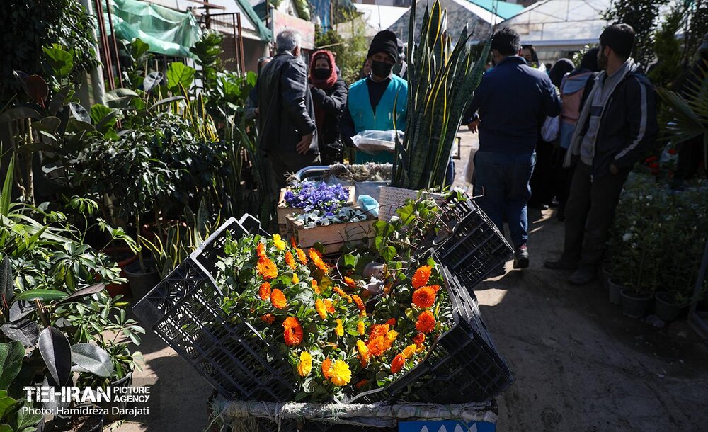 بازار گل محلاتی در روزهاى پایانى سال
