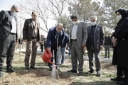کاشت دو هزار اصله درخت در بوستان دستواره منطقه ۲۱