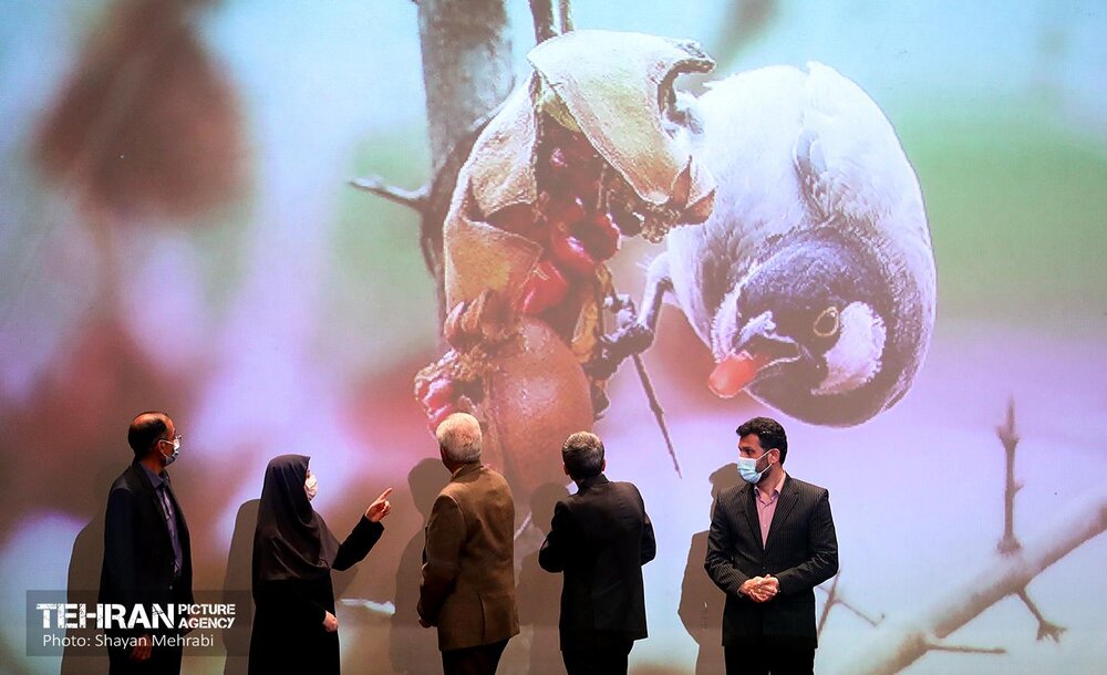 اختتامیه سومین دوره مسابقه عکاسی تنوع زیستی شهر تهران