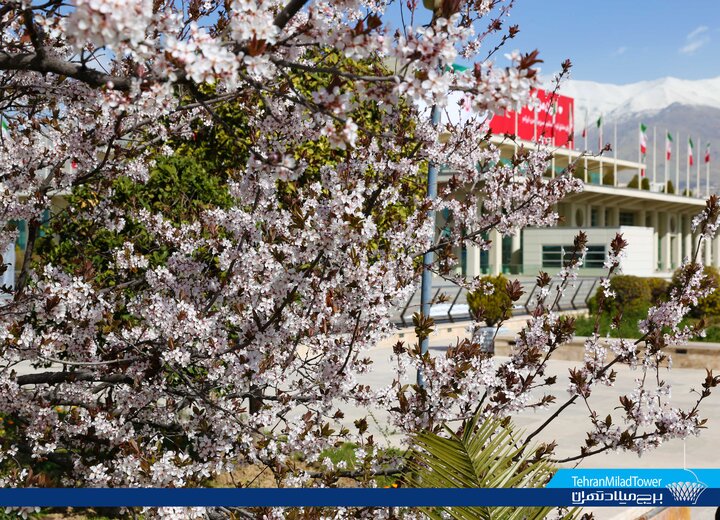 آماده‌سازی برج میلاد برای برگزاری جشنواره‌های نوروزی 