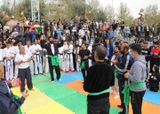 جشنواره فرهنگی ایران و افغانستان در بوستان رازی برگزار شد