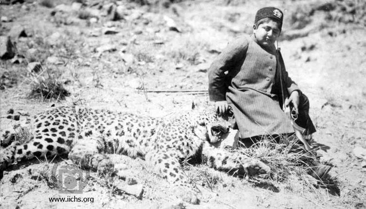 داستان باغ‌وحش در شکارگاهی به نام تهران