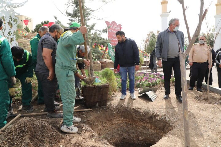 احداث ۵۲۰ آلاچیق و مبلمان پارکی در منطقه ۱۳