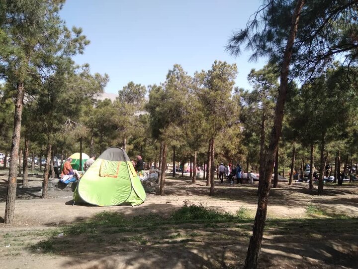 تجهیز ابزار و ادوات اطفاء حریق در بوستان جنگلی چیتگر 
